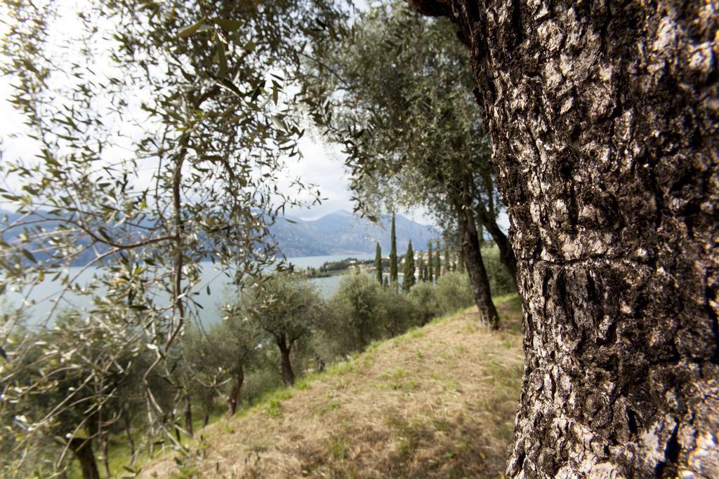Residence Le Balze Malcesine Exterior photo